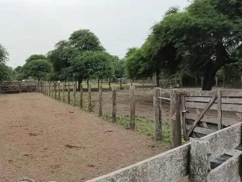 VENTA CAMPO GANADERO - 1664 ha. POSEE MEJORAS.-