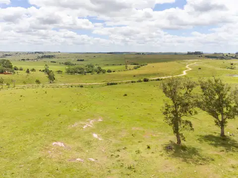 Campo - Venta - Uruguay, Maldonado
