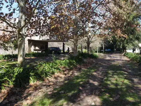 146 esquina 446 100, Piso 0