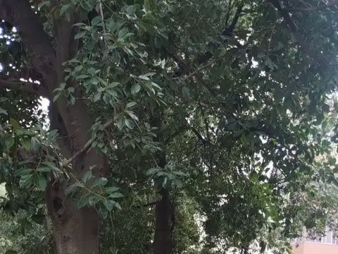 Departamento - Venta - Argentina, Capital Federal - Cris?stomo Alvarez 2700