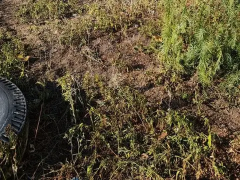 Terreno en Venta de 5757,0 m2