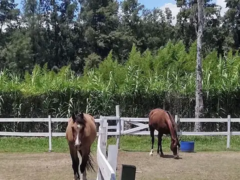 Terreno en Venta de 3067,0 m2