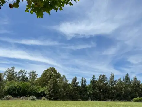 Lote en Área 60 La Escondida. SE ESCUCHAN OFERTAS!