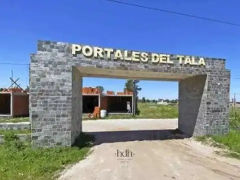 Lote 119 - Maz C