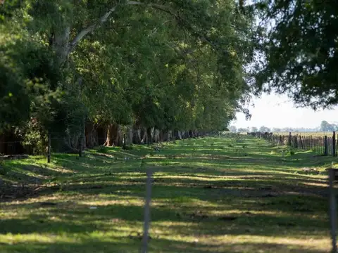 Terreno en Venta de 1008,0 m2