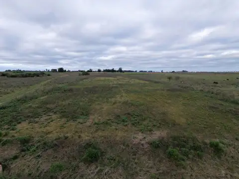 Campo de 2.3 HA en Venta Col San Antonio Goya Ctes