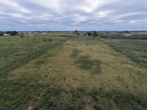 Campo de 2.3 HA en Venta Col San Antonio Goya Ctes