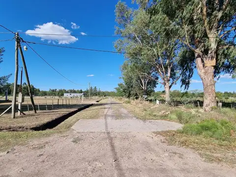 Terreno - Abasto
