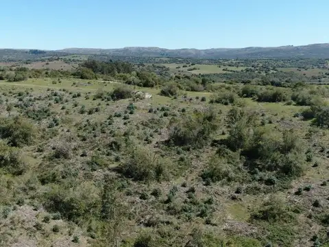 CAMPO EN VENTA AIGUA FORESTAL