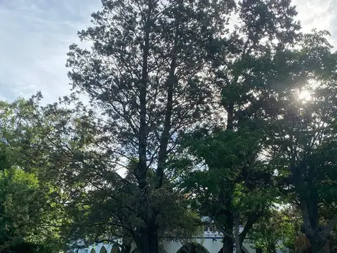 Campo en  Ramallo 48has