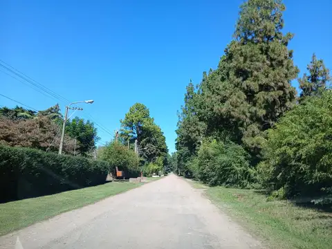La Fortinera al 100