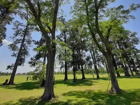 Terreno en Venta en Ibarlucea, USD 75.000