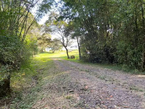 Venta, Campo, 60 hectáreas, Emprendimiento, Costa, Rio Paraná, Ita Ibate, Corrientes