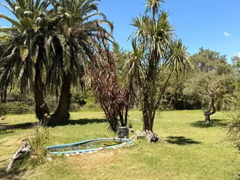 Terreno en Venta de 1263,0 m2