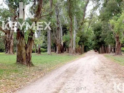 Terreno en Venta en Campos De Roca, USD 62.000