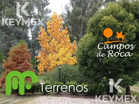 Campos de Roca Ruta 2 Km65