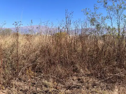 Terreno en Venta en Campo Quijano, USD 15.000
