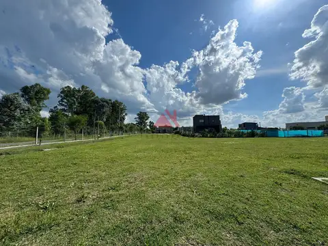 Santa Elisa Pilar del Este 100