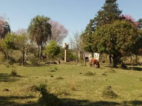 Terreno en Venta 180  mts Fondo