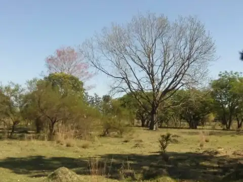 Terreno en Venta de 6120,0 m2