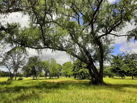 Zona Oeste. Club de Campo La Arbolada