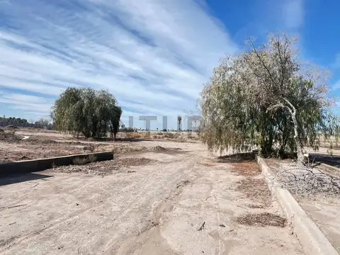 Terreno en Venta de 320,0 m2