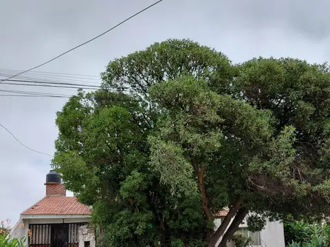 Casa en Venta en Santa Clara del Mar, USD 50.000