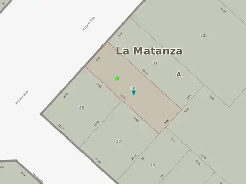 Arturo Illia al 2100