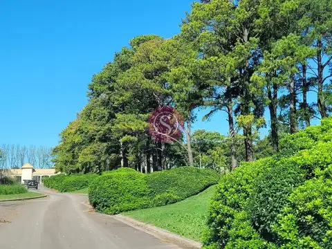 Terreno en Venta de 1503,0 m2