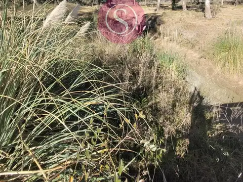 Terreno en Venta de 1503,0 m2