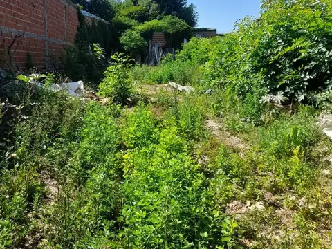 Terreno en Venta 43  mts Fondo