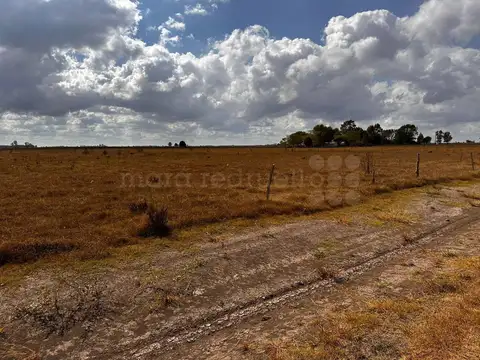 Terreno en Venta de 16675,0 m2