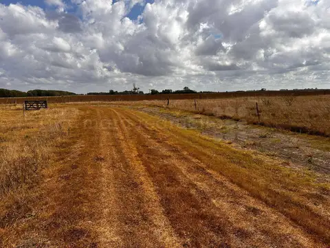LOTE QUINTA CHACRA EN VENTA EN CHASCOMUS