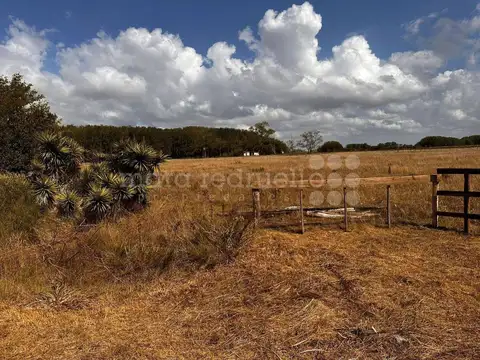 Terreno en Venta en Don Cipriano, USD 40.000