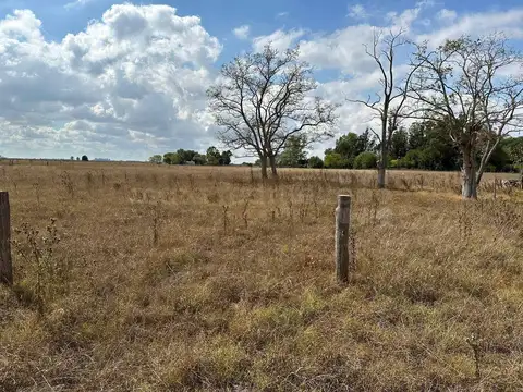 Terreno en Venta en Don Cipriano, USD 40.000