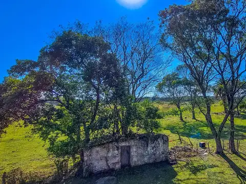 Oportunidad Terreno en Libertador Esquina Corrientes. 16 hectareas y casa de campo