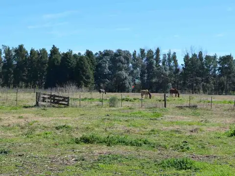 Chacra Venta Haras El Argentino Farm Club, Lujan