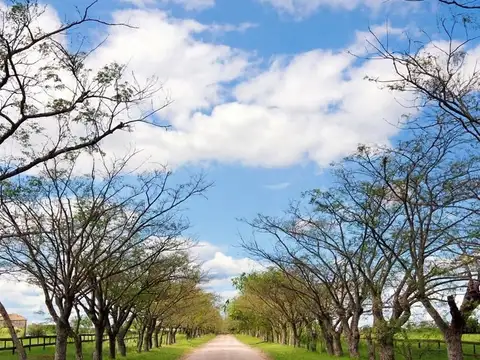 Chacra Venta Haras El Argentino Farm Club, Lujan