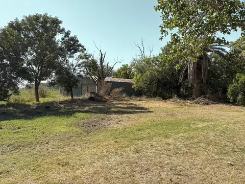 Cristo Rey - Soldini '14,9 has