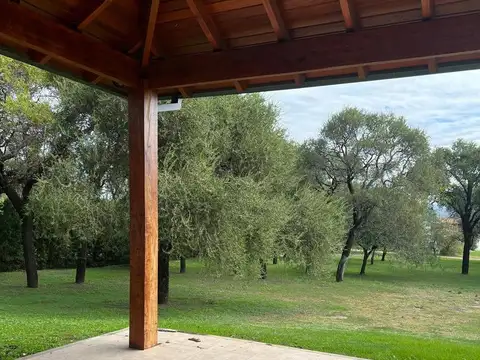 Country Causana