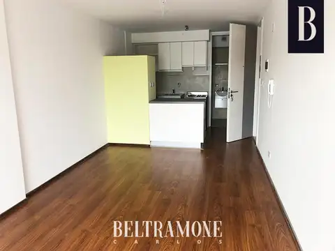 Mono ambiente amplio y luminoso