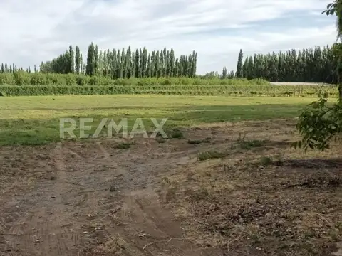 Terreno en Venta en Centenario, USD 220.000