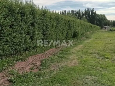 Terreno en Venta de 16407,0 m2