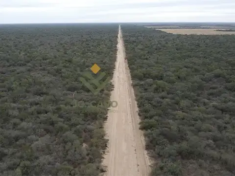 Ruta 81