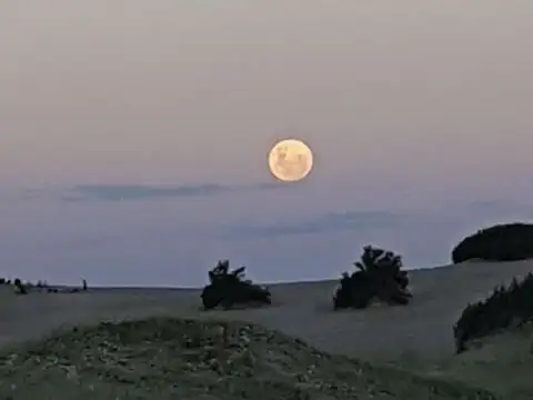 Terrenos en venta - 1.072Mts2 - Arenas Verdes, Lobería