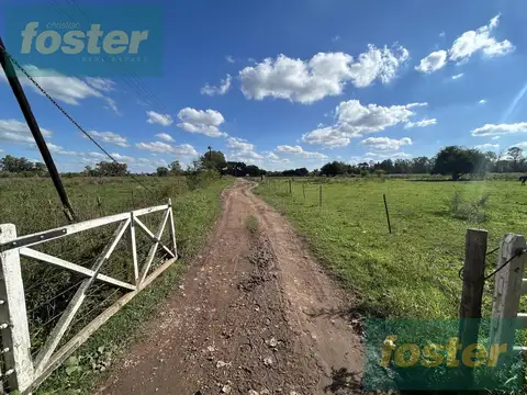 Campo en Venta en Cañuelas