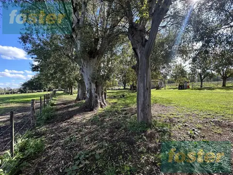 Campo en Venta en Cañuelas