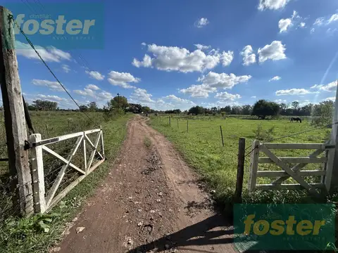 Campo en Venta en Cañuelas