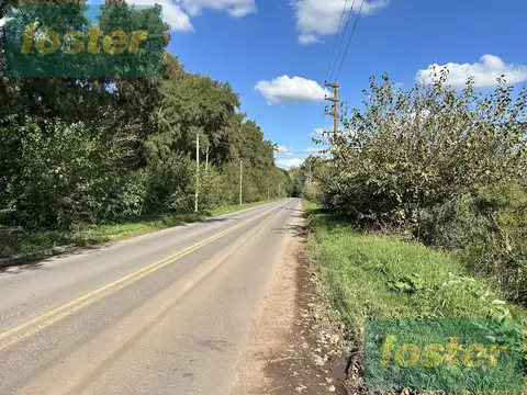 Campo en Venta en Cañuelas