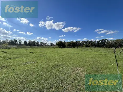 Campo en Venta en Cañuelas